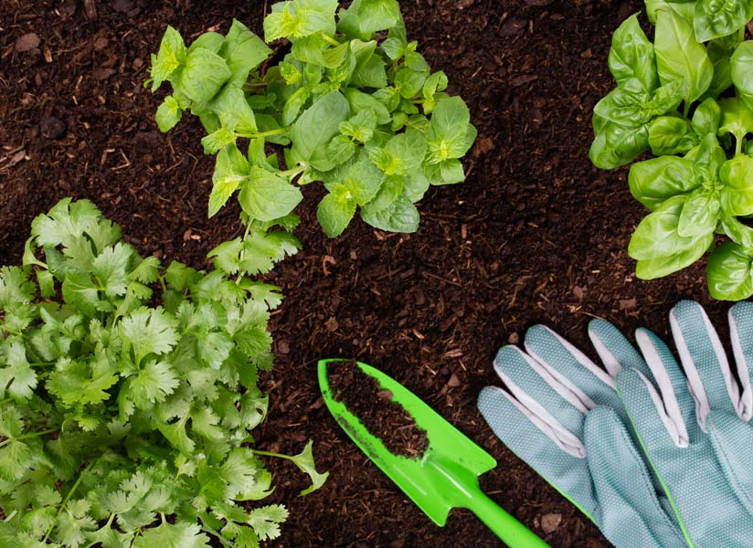 acquapro orto e giardino